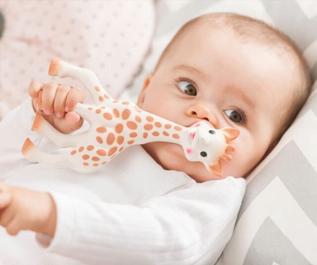 6 Best NonToxic Teethers for Babies The Eco Edit